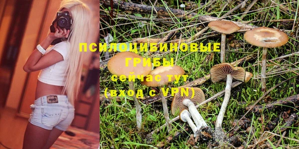 apvp Алексеевка