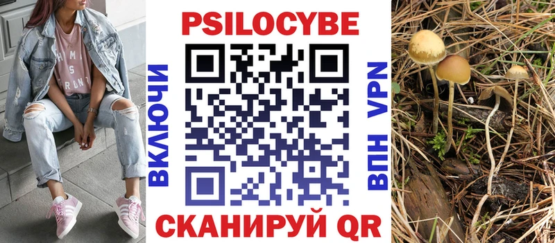 Псилоцибиновые грибы Magic Shrooms hydra Лахденпохья