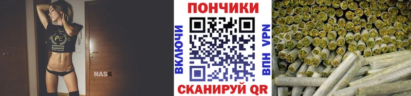 Шишки марихуана семена  закладки  Лахденпохья 